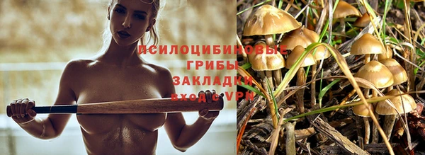 героин Белокуриха