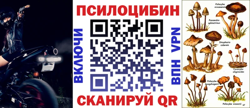 blacksprut как зайти  Комсомольск  Псилоцибиновые грибы прущие грибы 